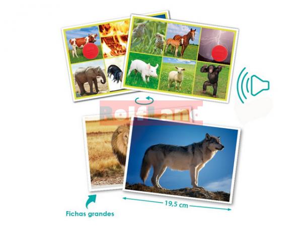 Hang bingó: Állatok és természet