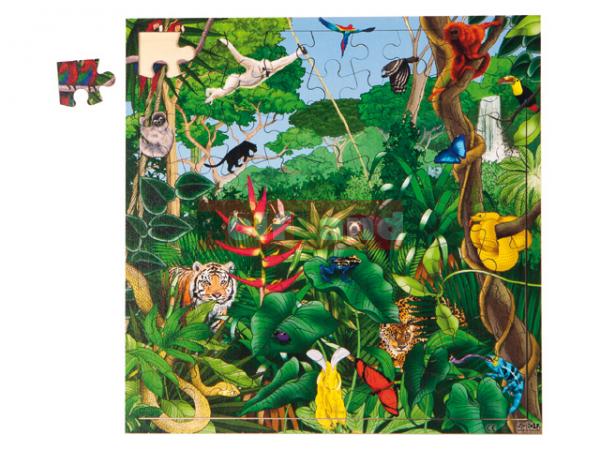 Tájak puzzle Esőerdő